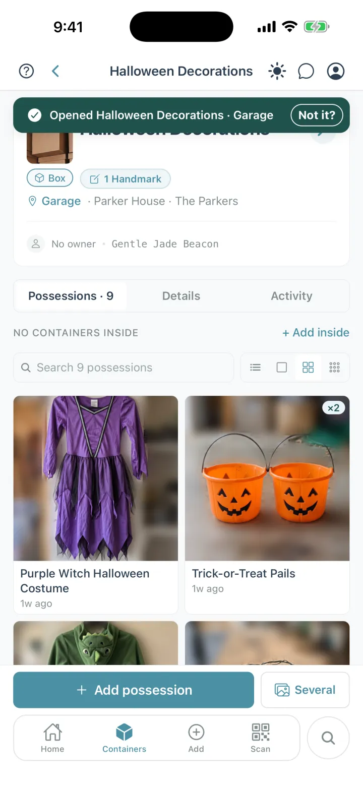 Cratify showing Opened Halloween Decorations, Garage, with the nine possessions inside